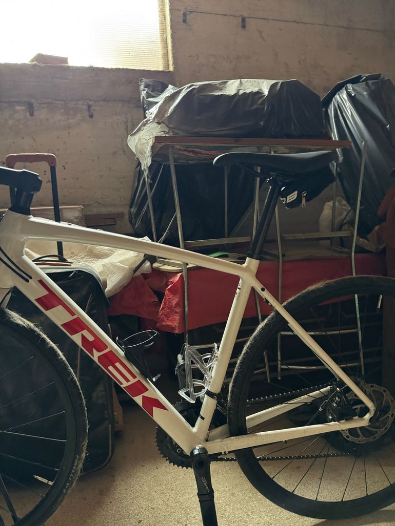 Used Trek Domane AL 3 Disc 2023 2023 Road & Gravel, White — image 2 of 6