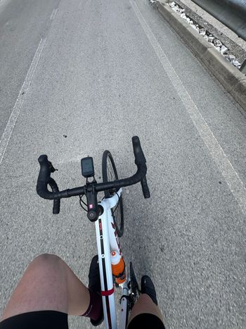 Used Trek Domane AL 3 Disc 2023 2023 Road & Gravel, White — image 3 of 6