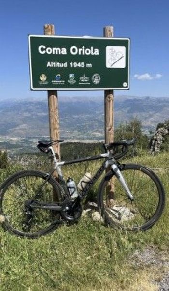 Used Colnago C64 Disc Frameset 2021 2021 Road & Gravel, Light Gray — image 4 of 5