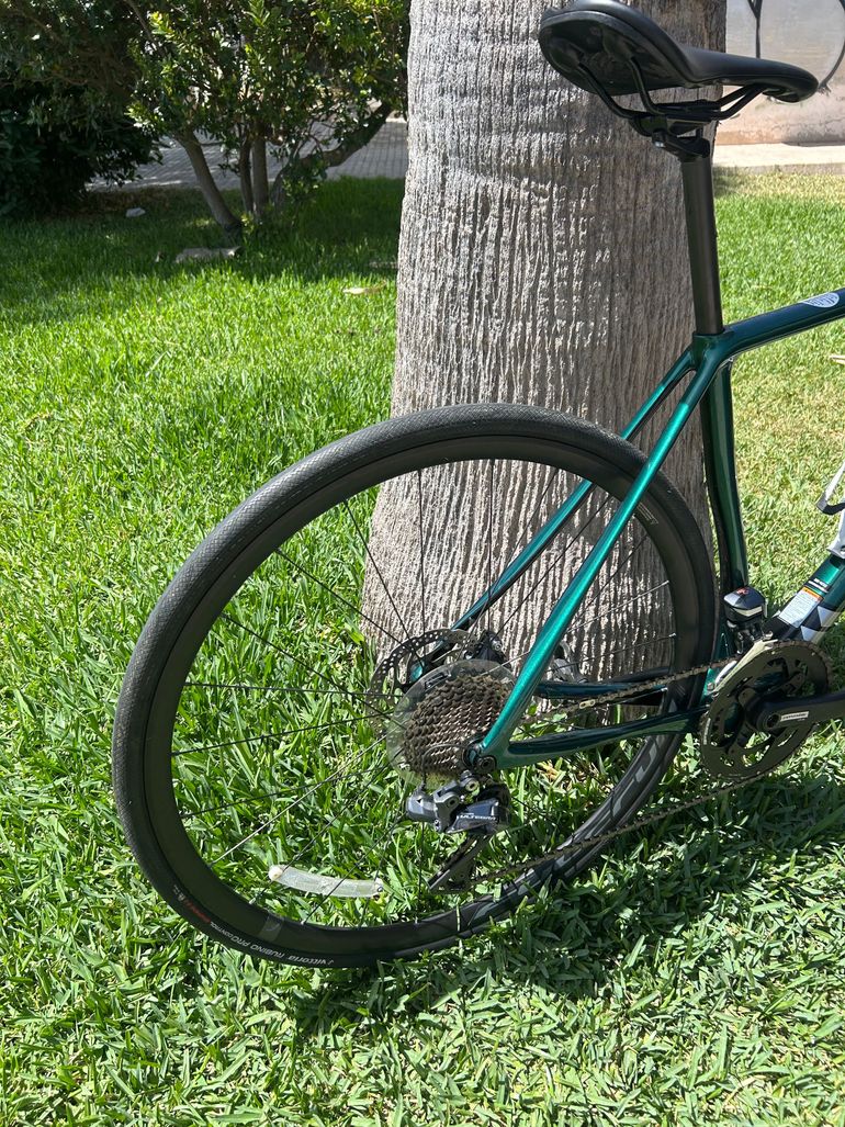 Used Cannondale Synapse Carbon Disc Ultegra Di2 2021 2021 Road & Gravel, Green — image 4 of 10