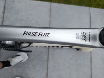Used Megamo PULSE ELITE 10 2023 2023 Road & Gravel, Weiß — image 7 of 7