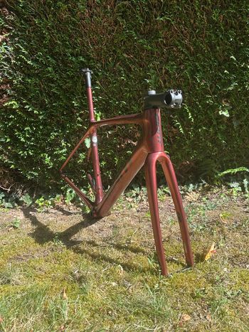 Used Giant TCR Advanced SL, Disc Frameset 2022 Frameset 2022 Road & Gravel — image 2 of 3