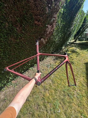 Used Giant TCR Advanced SL, Disc Frameset 2022 Frameset 2022 Road & Gravel, Orange — image 3 of 3