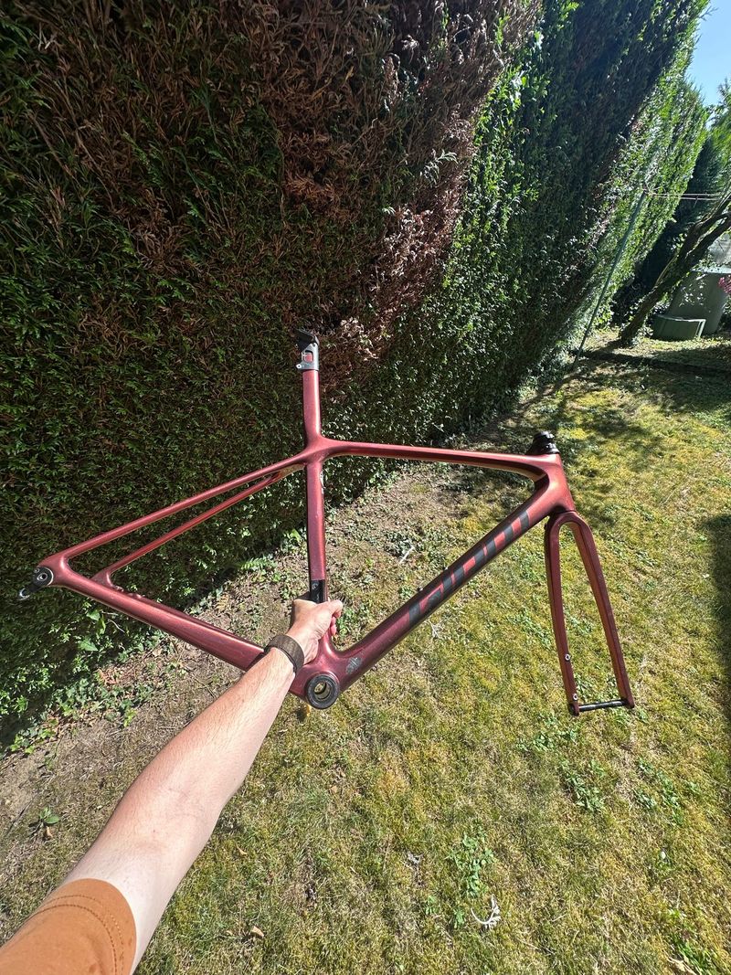 Used Giant TCR Advanced SL, Disc Frameset 2022 Frameset 2022 Road & Gravel, Orange — image 3 of 3