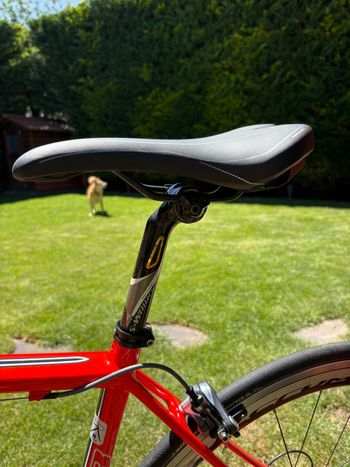 Used Specialized Tarmac Shimano Dura Ace 2011 Road & Gravel — image 7 of 7