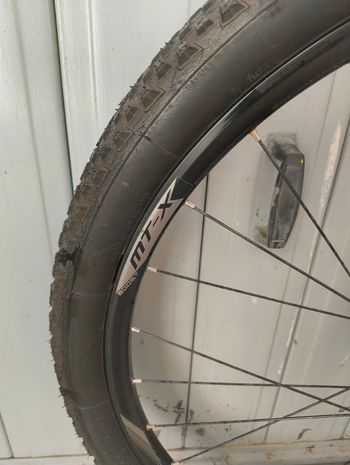 Used Wilier 101X SHIMANO XT 1X12 2020 2020 Mountainbike, Black, 29 — image 5 of 8