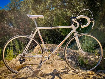 Peugeot Custom Other SRAM 1993 Road & Gravel d'occasion — image 7 sur 8