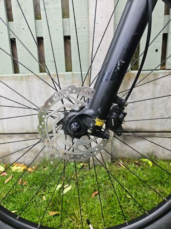 Used Orbea ONNA 20 2024 2024 Mountainbike, Rosso — image 5 of 6