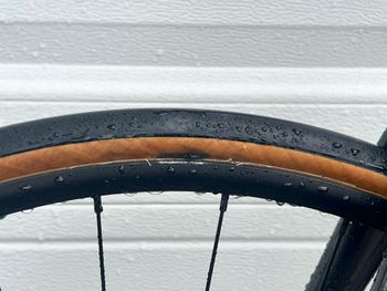 Used Cannondale Synapse Carbon Disc 105 2019 2019 Road & Gravel, Green — image 6 of 7