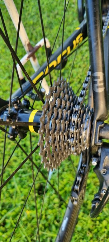 Used Focus Izalco Max, Campagnolo Super Rekord 2016 Road & Gravel, Schwarz — image 6 of 18