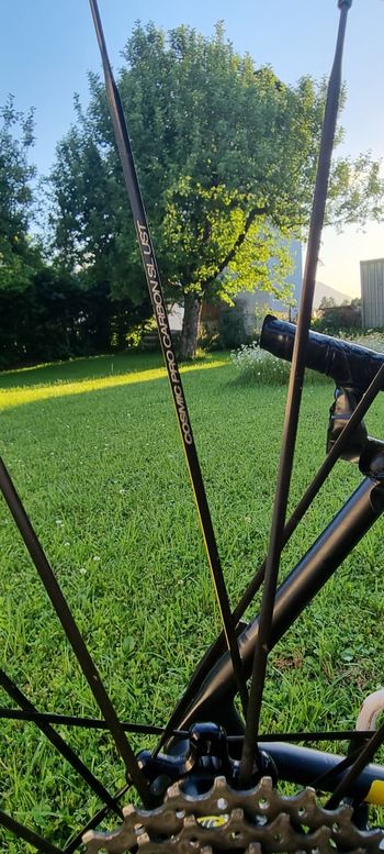 Used Focus Izalco Max, Campagnolo Super Rekord 2016 Road & Gravel, Schwarz — image 17 of 18