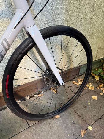 Used Specialized Allez Shimano Tiagra 2023 Road & Gravel, Light Gray — image 6 of 11
