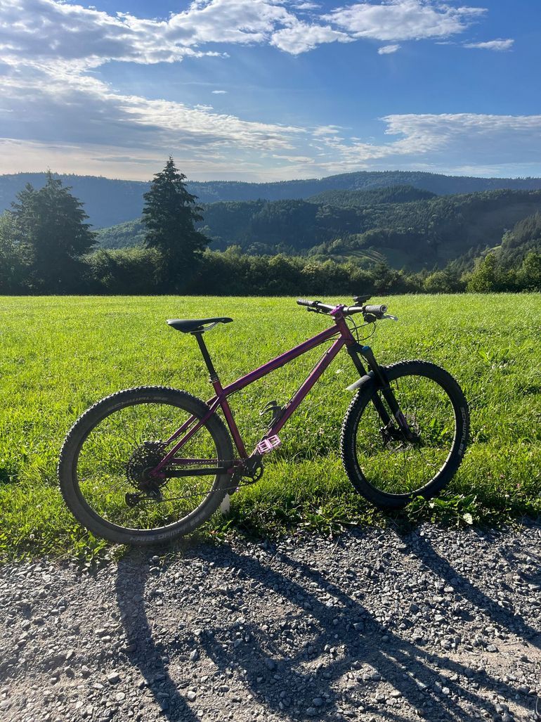 Used Last Last Custom SRAM NX 2015 Mountainbike, Violett — image 1 of 12