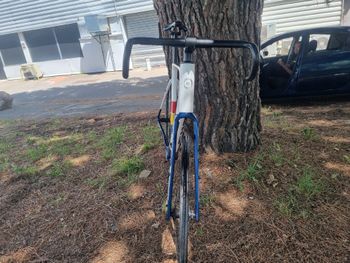 Used GIRS GIRS Custom Frameset 2026 Road & Gravel — image 3 of 4