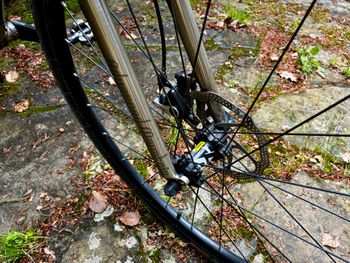 Used Seaboard Custom Seaboard Custom Custom Shimano 105 2021 Road & Gravel, Orange — image 8 of 10