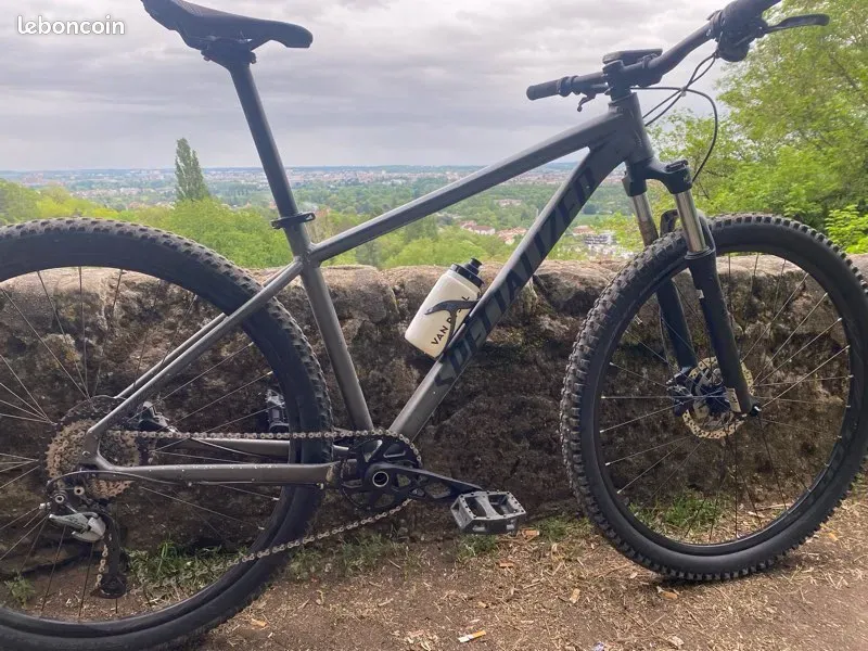 Specialized Men's Rockhopper Comp 2019 2019 Mountainbike usato, Grigio chiaro — immagine 2 di 3