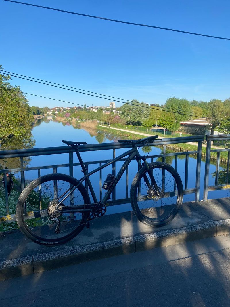 Specialized Men's Rockhopper Comp 2019 2019 Mountainbike usato, Grigio chiaro — immagine 3 di 3