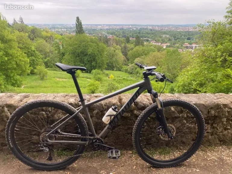 Used Specialized Men's Rockhopper Comp 2019 2019 Mountainbike, Light Gray, 29 — image 1 of 3