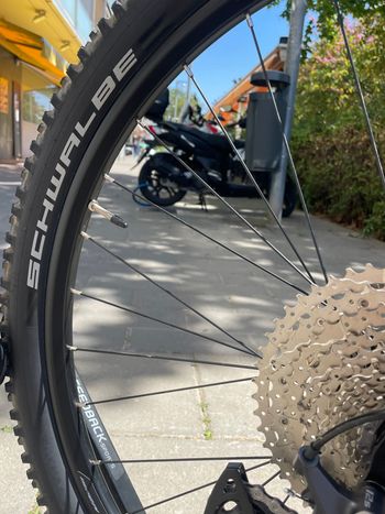 Used Massi Mass Team Elite 29” 2025 Mountainbike, Black — image 5 of 7