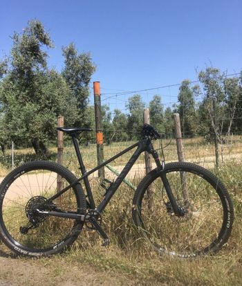 Used Canyon Exceed CF SL 6.0 Pro Race 2018 2018 MTB