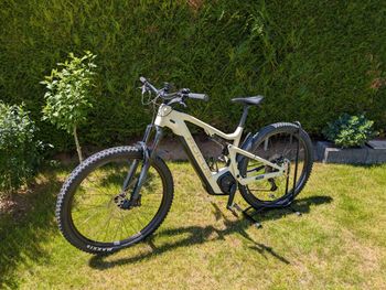 Used Focus THRON² 6.8 2023 2023 MTB