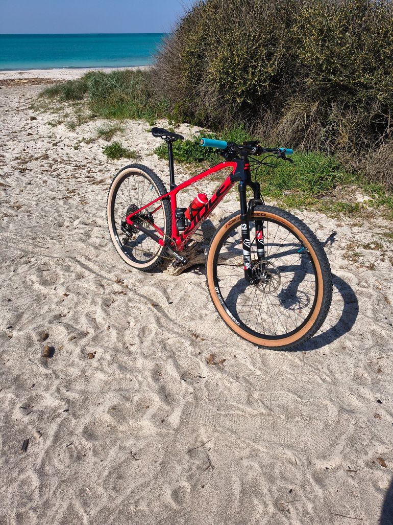 Used Ridley Ignite SLX - SRAM X01 Eagle 2020 2020 Mountainbike, Red, 29 — image 3 of 6
