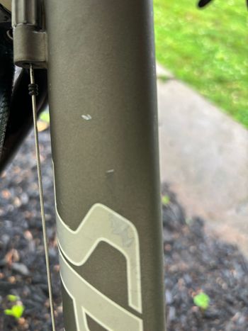 Used Specialized Allez Shimano Ultegra 2006 Road & Gravel, Green — image 14 of 17