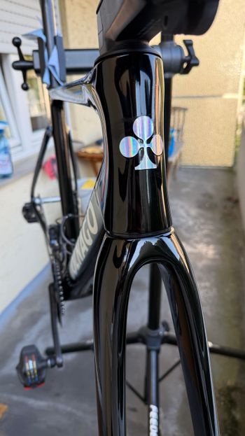 Used Colnago Colnago V4RS Rh 485 Frameset 2025 Road & Gravel, Black — image 2 of 9