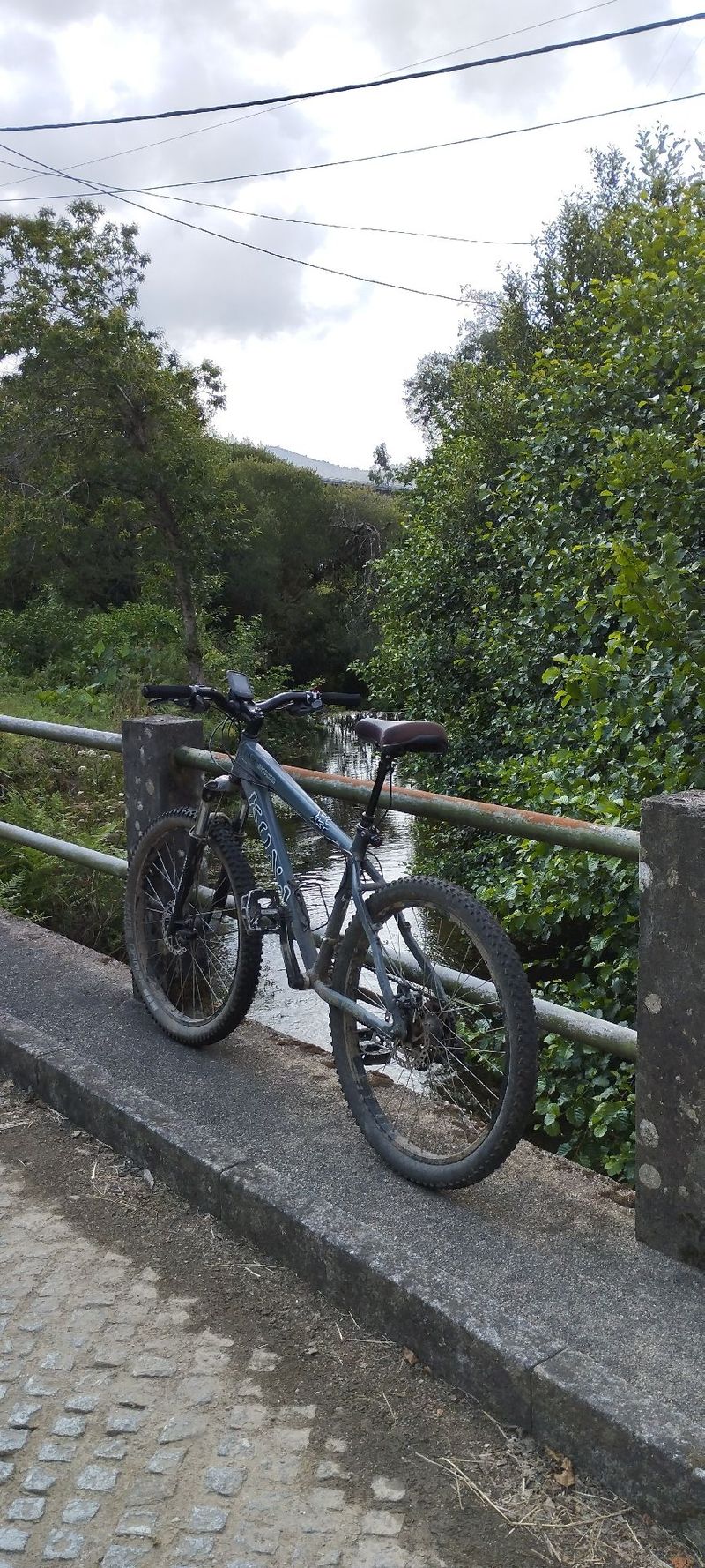 Gebrauchtes Kona Shred Shimano Altus 2006 Mountainbike, Hellgrau, 26 — Bild 2 von 3