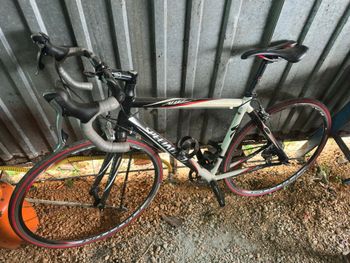 Used Specialized Allez Elite Compact Double 2009 2009 Road & Gravel