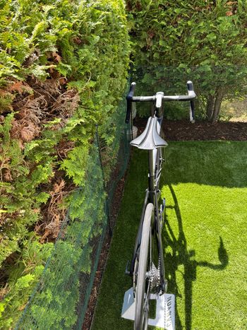 Used Rose X-LITE SIX DISC Ultegra 2022 2022 Road & Gravel, Black,  — image 8 of 10