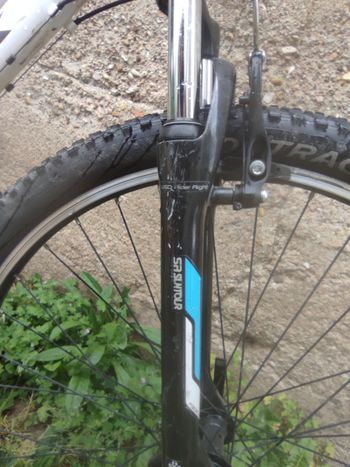 Used Trek Skye Women's 2017 2017 Mountainbike, White, 27.5, 29 — image 13 of 14
