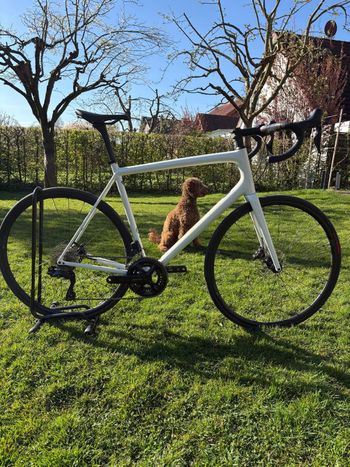 Used Specialized Aethos Comp - Shimano 105 Di2 2024 2024 Road & Gravel, , 