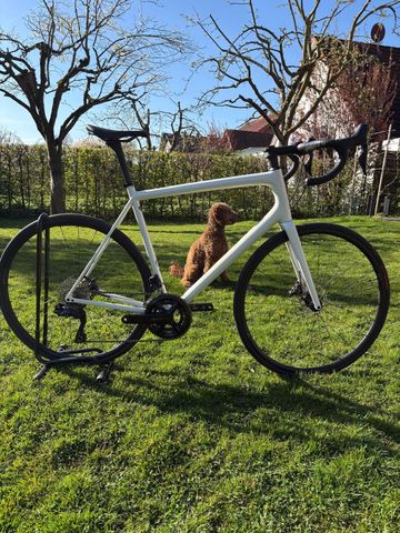 Specialized Aethos Comp - Shimano 105 Di2 2024 2024 Road & Gravel usato