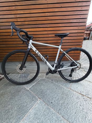 Used Canyon Endurace AllRoad 2026 2026 Road & Gravel, Light Gray,  — image 3 of 7