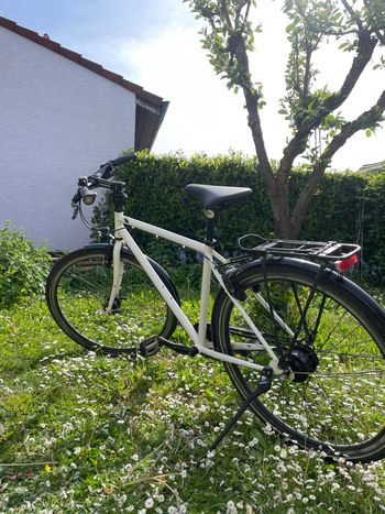 Used CONTOURA CONTOURA Custom Shimano Alfine 11 hub gears  Urban & Touring, , 