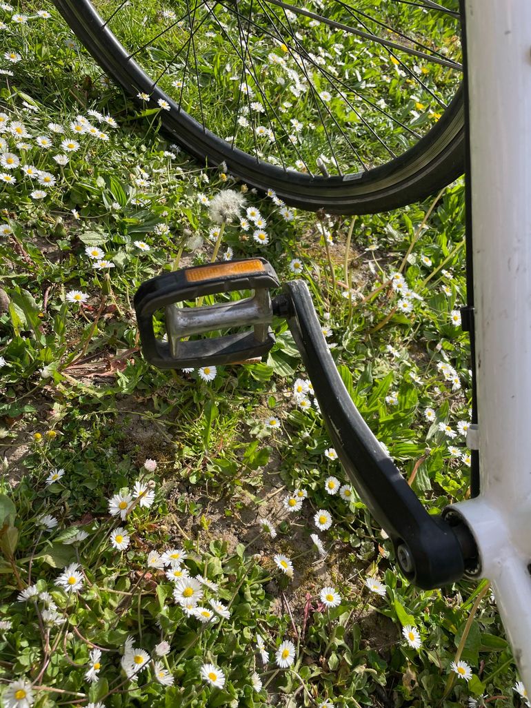 Used CONTOURA Custom Shimano Alfine 11 hub gears Urban, White — image 6 of 7