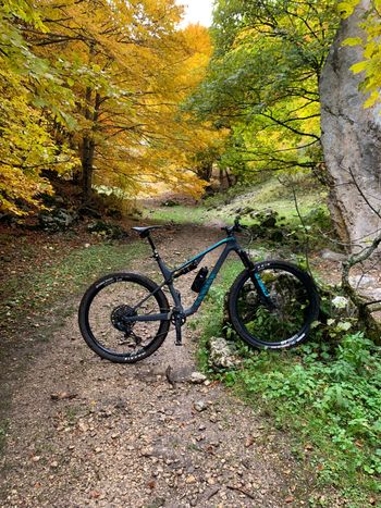 Gebrauchtes Canyon Lux Trail CF 8 2022 2022 MTB, , 