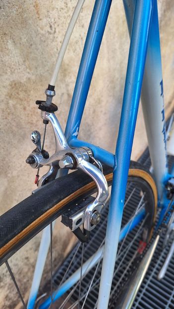 Used Pinarello Montello Campagnolo Chorus 1988 Road & Gravel, Blue — image 3 of 8