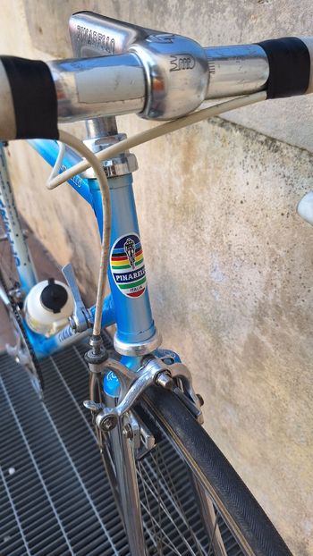 Used Pinarello Montello Campagnolo Chorus 1988 Road & Gravel, Blue — image 2 of 8