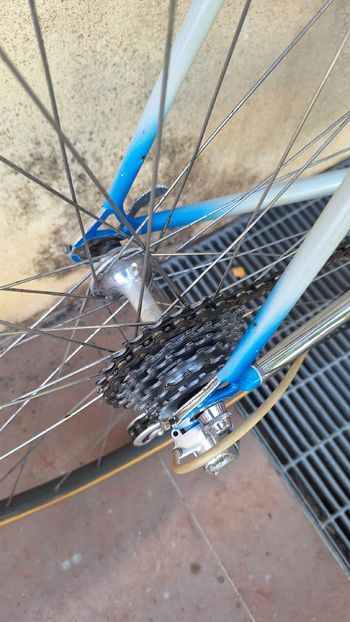 Used Pinarello Montello Campagnolo Chorus 1988 Road & Gravel, Blue — image 4 of 8