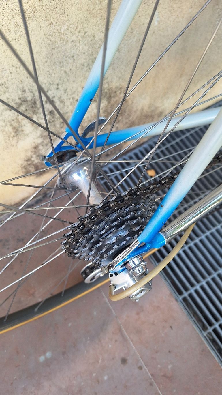 Used Pinarello Montello Campagnolo Chorus 1988 Road & Gravel, Blue — image 4 of 8