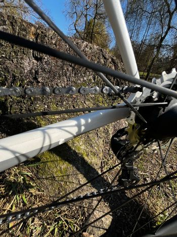 Gebrauchtes Specialized Amira SL4 Sport 2016 2016 Road & Gravel, Weiß — Bild 9 von 10