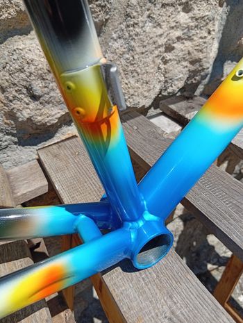 Gebrauchtes Colnago Master Frameset 1998 Road & Gravel, Blau — Bild 15 von 15