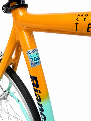 Gebrauchtes Bianchi Custom Campagnolo Record 1998 Road & Gravel, Blau — Bild 3 von 8
