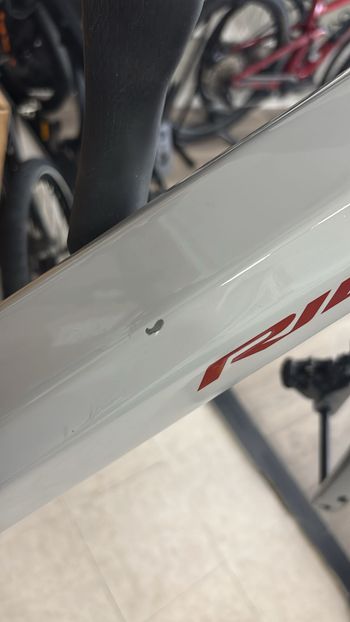 Used Ridley E-Grifn ETap XPLR 12v 2025 Road & Gravel, Light Gray — image 3 of 6