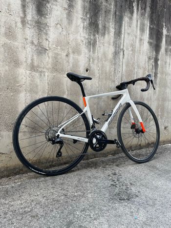 Berria BELADOR ELITE 105 2026 2026 Road & Gravel d'occasion — image 2 sur 6
