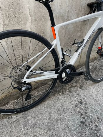 Berria BELADOR ELITE 105 2026 2026 Road & Gravel d'occasion — image 3 sur 6
