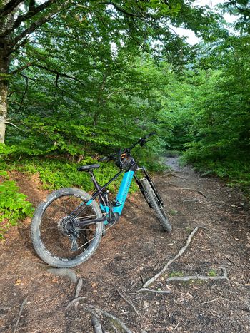 Käytetty Mondraker DUSK R 2023 2023 MTB