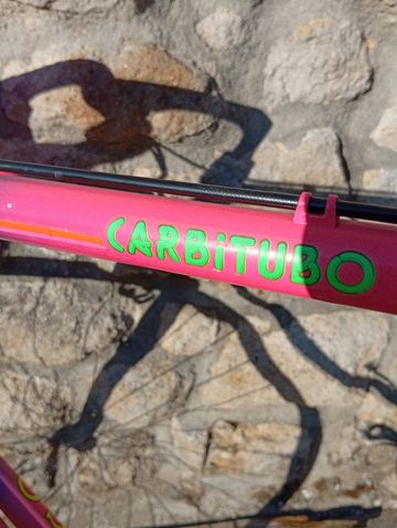 Tweedehands Colnago CARBiTUBO Campagnolo Record 1985 Road & Gravel — afbeelding 7 van 20